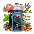 French Avenue Safari Breeze 100 ml (Unisex)